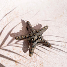 Load image into Gallery viewer, Starfish Door Knocker - Brass - Coral and Brass
