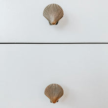 Load image into Gallery viewer, Large and Small Shell Drawer Pulls - Brass