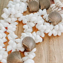 Load image into Gallery viewer, Large and Small Shell Drawer Pulls - Brass