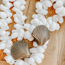 Load image into Gallery viewer, Large and Small Shell Drawer Pulls - Brass