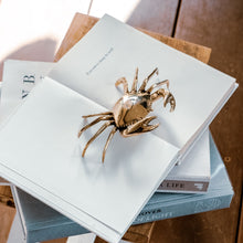 Load image into Gallery viewer, Decorative Crab - Brushed Gold