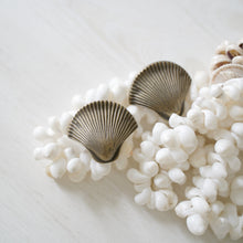 Load image into Gallery viewer, Large and Small Shell Drawer Pulls - Brass