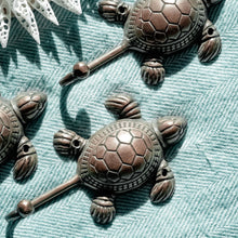 Load image into Gallery viewer, Medium Turtle Hook - Brass