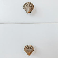 Load image into Gallery viewer, Large and Small Shell Drawer Pulls - Brass
