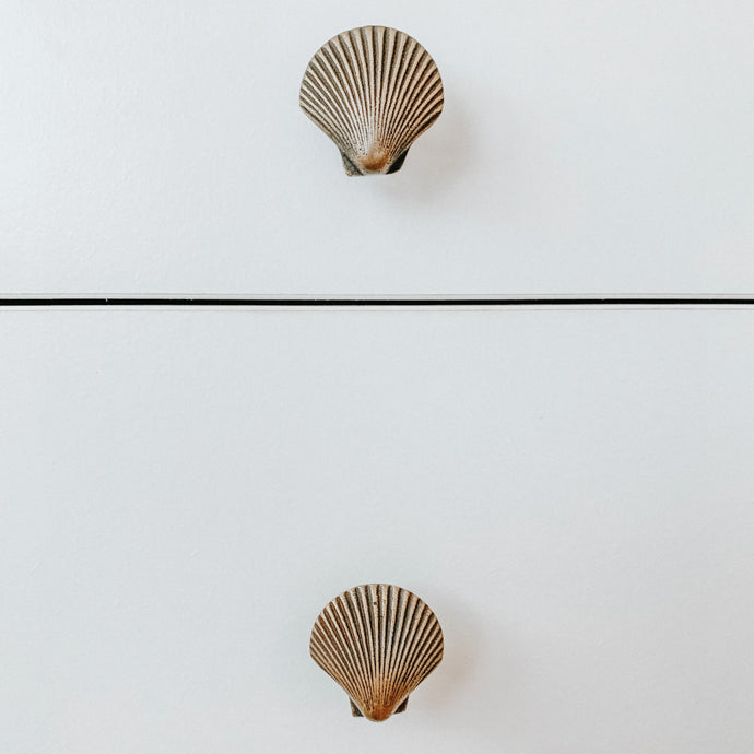 Large and Small Shell Drawer Pulls - Brass